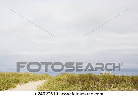 Path to the beach View Large Photo Image Stock Photo - Path to the beach. Fotosearch