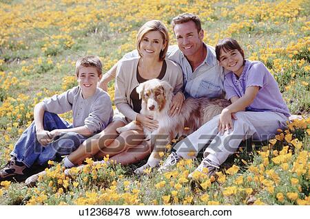 Portrait of a family in a meadow View Large Photo Image Stock Photo - Portrait of a family in a meadow. Fotosearch