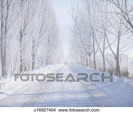 Picture - Rural road in winter. Fotosearch