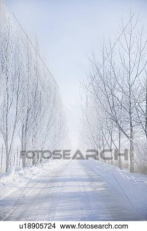 Picture - Rural road in winter. Fotosearch