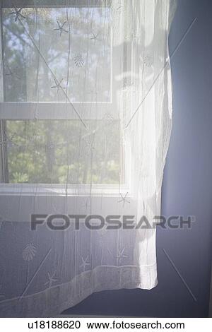 Stock Image - Sheer curtains. Fotosearch