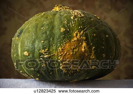 Stock Photography - Squash. Fotosearch