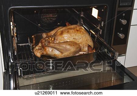 Turkey in oven View Large Photo Image Stock Image - Turkey in oven. Fotosearch