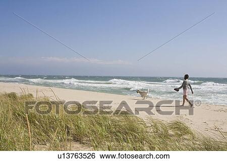 Walking dog on the beach View Large Photo Image Stock Photograph - Walking dog on the beach. Fotosearch