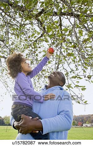 Stock Photo - Young girl picking an apple. Fotosearch