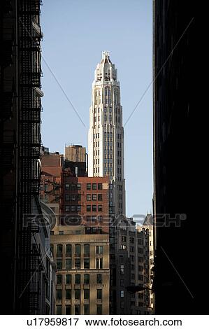 Chicago Downtown buildings View Large Photo Image Stock Photo - Chicago Downtown buildings. Fotosearch