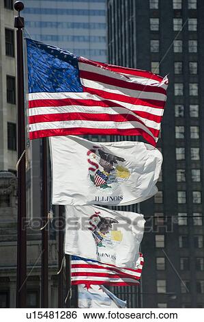 Flags along Michigan Avenue in Chicago View Large Photo Image Stock Photograph - Flags along Michigan Avenue in Chicago. Fotosearch