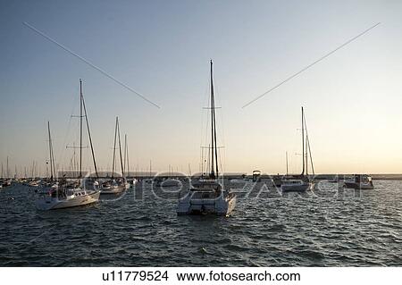 Sailboats on Lake MIchigan View Large Photo Image Picture - Sailboats on Lake MIchigan. Fotosearch