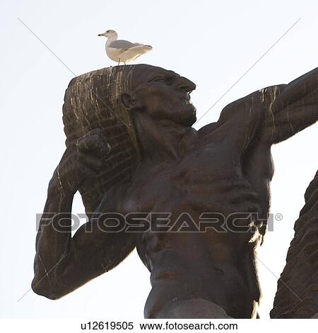 Sea Gull on a Statue in Chicago View Large Photo Image Stock Photography - Sea Gull on a Statue in Chicago. Fotosearch