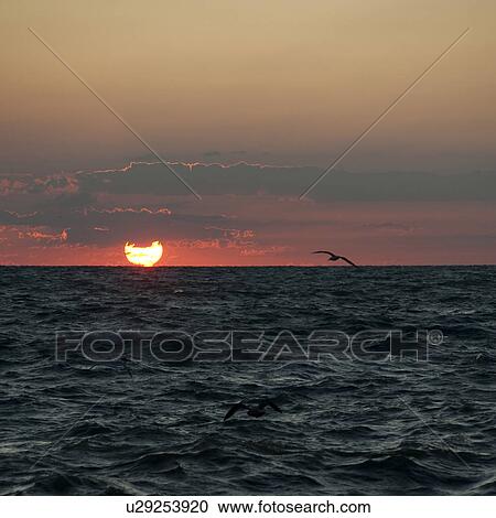 Sunset in Chicago, Lake Michigan View Large Photo Image Stock Image - Sunset in Chicago, Lake Michigan. Fotosearch