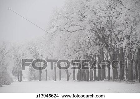 Winnipeg, Manitoba, Canada View Large Photo Image Picture - Winnipeg, Manitoba, Canada. Fotosearch