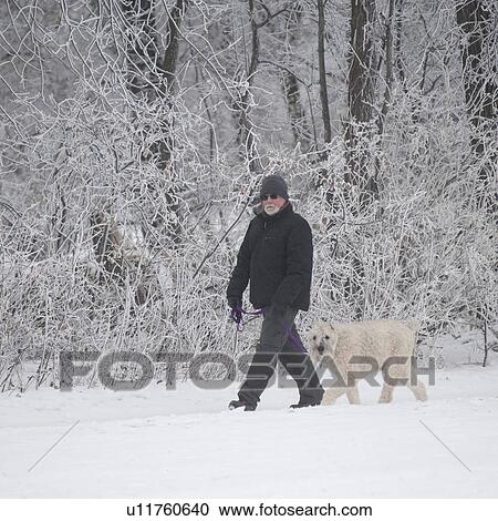 Stock Image - Winnipeg, Manitoba, Canada. Fotosearch