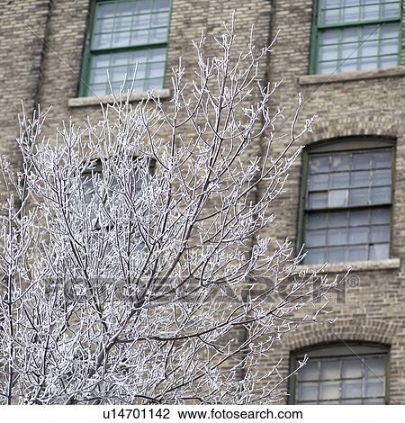 Winnipeg, Manitoba, Canada View Large Photo Image Stock Image - Winnipeg, Manitoba, Canada. Fotosearch