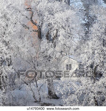 Winnipeg, Manitoba, Canada View Large Photo Image Stock Image - Winnipeg, Manitoba, Canada. Fotosearch