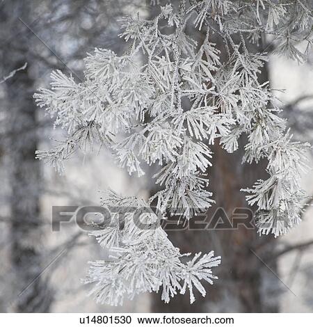 Stock Image - Winnipeg, Manitoba, Canada. Fotosearch