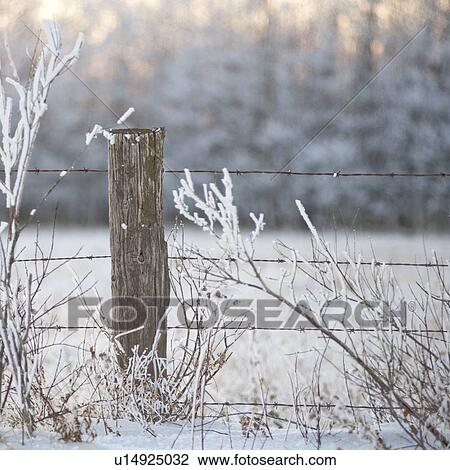 Stock Image - Winnipeg, Manitoba, Canada. Fotosearch