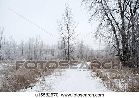 Stock Image - Winnipeg, Manitoba, Canada. Fotosearch