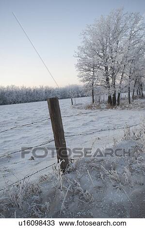 Winnipeg, Manitoba, Canada View Large Photo Image Stock Image - Winnipeg, Manitoba, Canada. Fotosearch