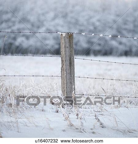 Winnipeg, Manitoba, Canada View Large Photo Image Stock Image - Winnipeg, Manitoba, Canada. Fotosearch