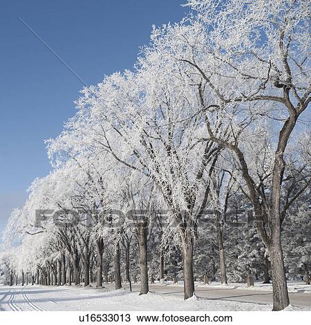 Winnipeg, Manitoba, Canada View Large Photo Image Stock Image - Winnipeg, Manitoba, Canada. Fotosearch