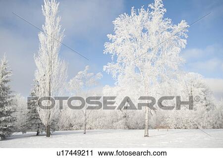 Stock Image - Winnipeg, Manitoba, Canada. Fotosearch