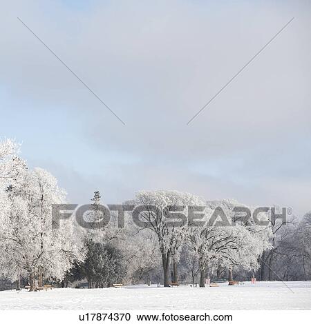 Winnipeg, Manitoba, Canada View Large Photo Image Stock Image - Winnipeg, Manitoba, Canada. Fotosearch