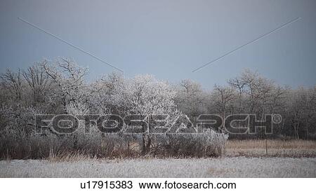 Stock Image - Winnipeg, Manitoba, Canada. Fotosearch