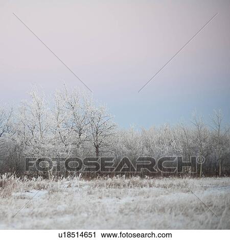 Stock Image - Winnipeg, Manitoba, Canada. Fotosearch