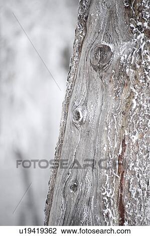 Stock Image - Winnipeg, Manitoba, Canada. Fotosearch