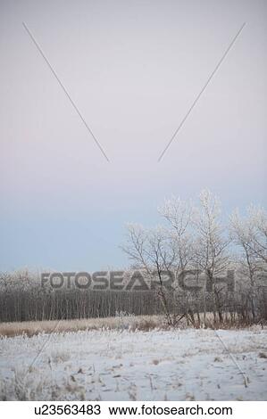 Stock Image - Winnipeg, Manitoba, Canada. Fotosearch