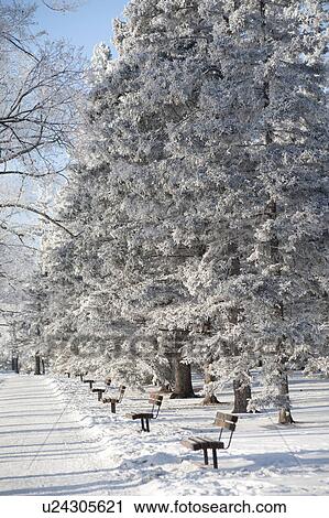 Stock Image - Winnipeg, Manitoba, Canada. Fotosearch