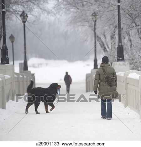 Winnipeg, Manitoba, Canada View Large Photo Image Stock Image - Winnipeg, Manitoba, Canada. Fotosearch