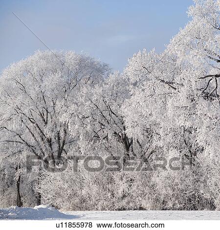 Stock Photo - Winnipeg, Manitoba, Canada. Fotosearch