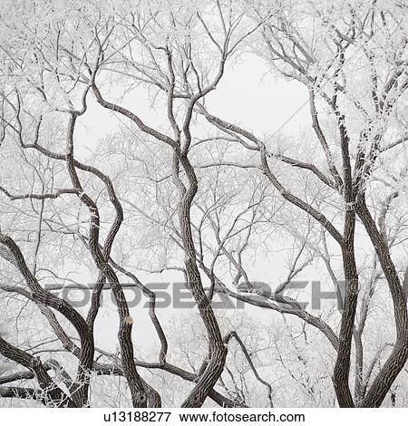 Stock Photo - Winnipeg, Manitoba, Canada. Fotosearch