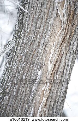 Stock Photo - Winnipeg, Manitoba, Canada. Fotosearch