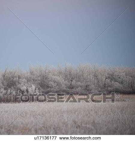 Stock Photo - Winnipeg, Manitoba, Canada. Fotosearch