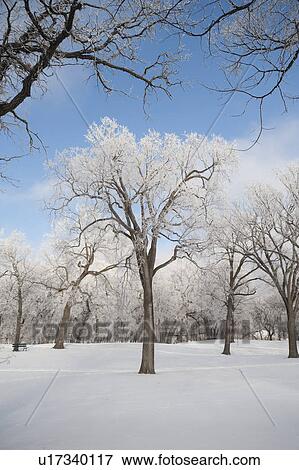 Winnipeg, Manitoba, Canada View Large Photo Image Stock Photo - Winnipeg, Manitoba, Canada. Fotosearch