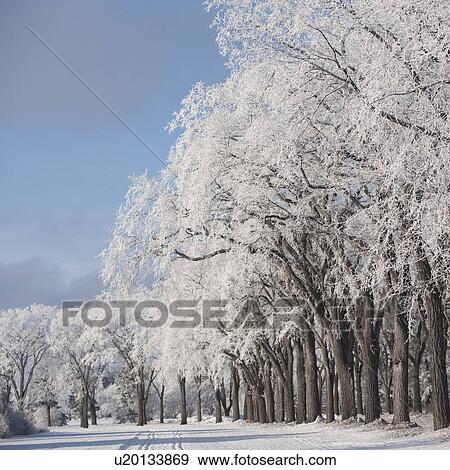 Stock Photo - Winnipeg, Manitoba, Canada. Fotosearch