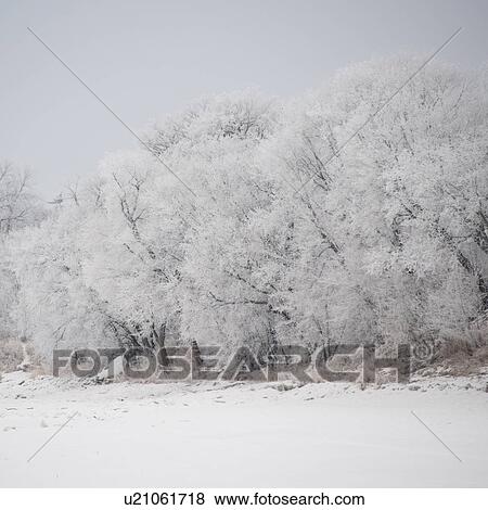 Stock Photo - Winnipeg, Manitoba, Canada. Fotosearch