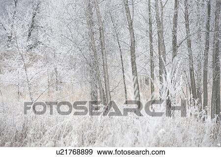 Stock Photo - Winnipeg, Manitoba, Canada. Fotosearch
