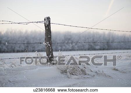 Winnipeg, Manitoba, Canada View Large Photo Image Stock Photo - Winnipeg, Manitoba, Canada. Fotosearch