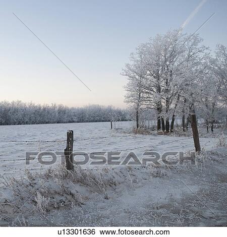 Stock Photograph - Winnipeg, Manitoba, Canada. Fotosearch