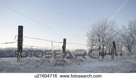 Stock Photograph - Winnipeg, Manitoba, Canada. Fotosearch