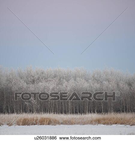 Stock Photograph - Winnipeg, Manitoba, Canada. Fotosearch