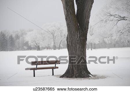 Winnipeg, Manitoba, Canada View Large Photo Image Stock Photography - Winnipeg, Manitoba, Canada. Fotosearch