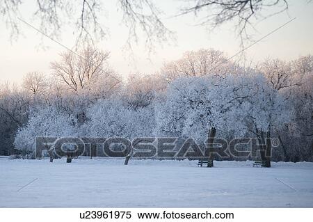 Stock Photography - Winnipeg, Manitoba, Canada. Fotosearch