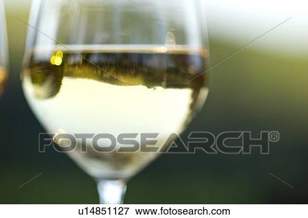 Stock Photo - Glass of white wine in vineyard. Fotosearch