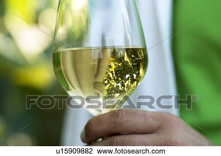 Stock Image - Hand of young man holding a glass of white wine with grapes reflected. Fotosearch
