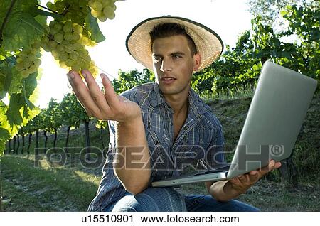 Stock Image - Young man in vineyard holding laptop. Fotosearch