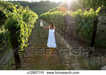 Stock Image - Young woman in vineyard holding lantern. Fotosearch